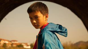 光头可以带来好运吗,光头可以拯救票房吗