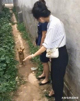 事实证明太瘦的女人容易出事,女朋友太瘦了是什么体验