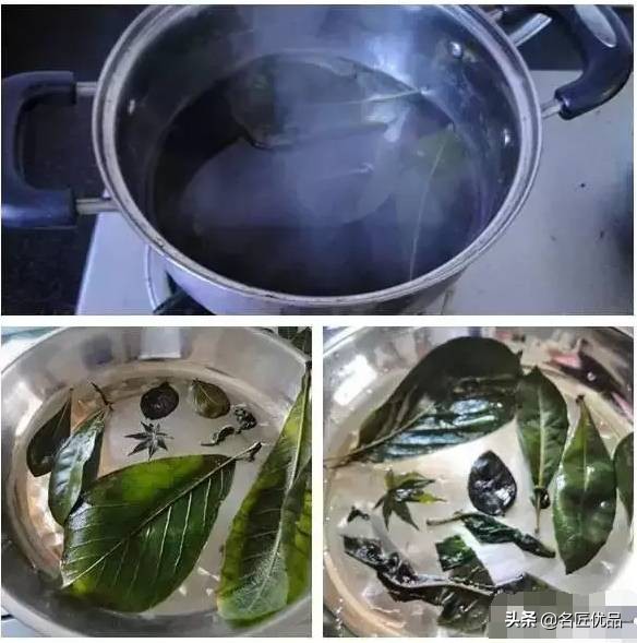 可爱又简单帅气的树叶手工,树叶创意手工高难度