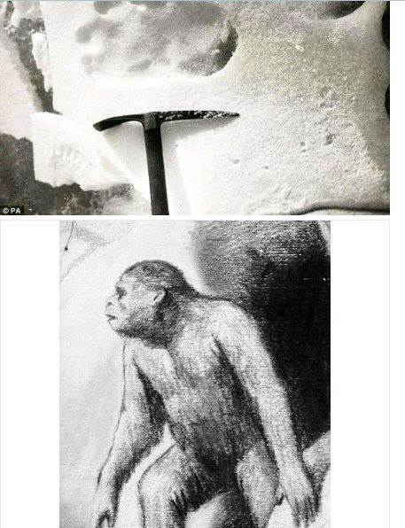 世界十大生物未解之谜,未解之谜奇闻异事神秘生物