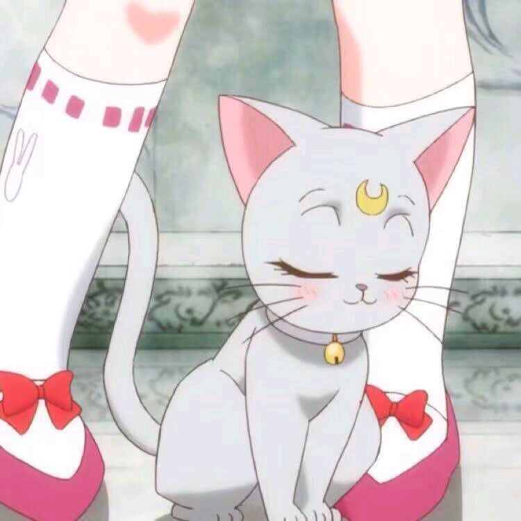 我曾吹牛说等猴年马月才能脱单，那么今天就是猴年马月里的一天