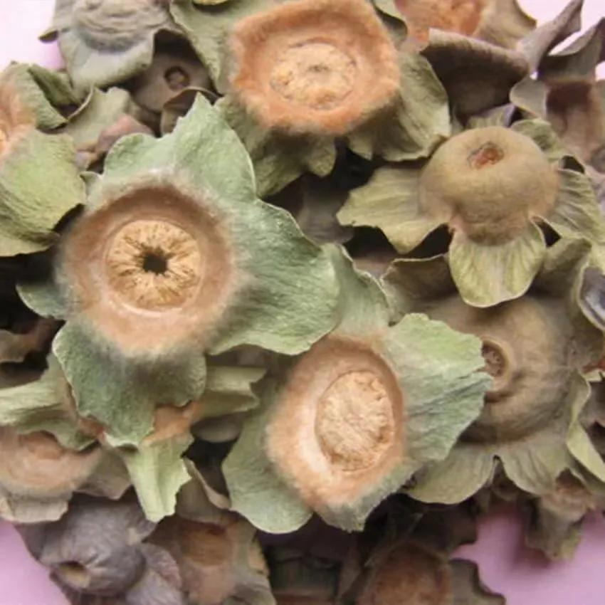 中药古今研究羌活,中药古今研究的视频