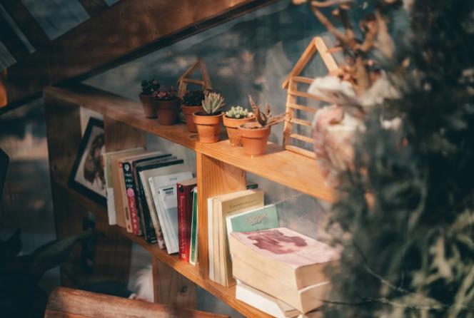 小偷阅读法详解,小偷自学刑法讲义