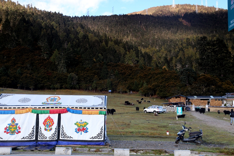 西藏珠峰四天旅游攻略,西藏珠峰四日游最美