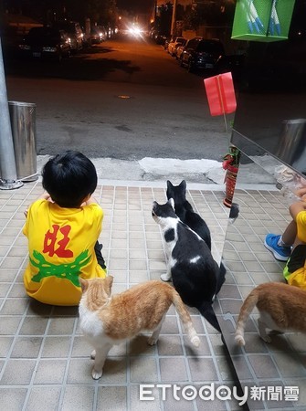 给浪喵饲料整桶不见? 调监视器发现2狗偷吃+外带