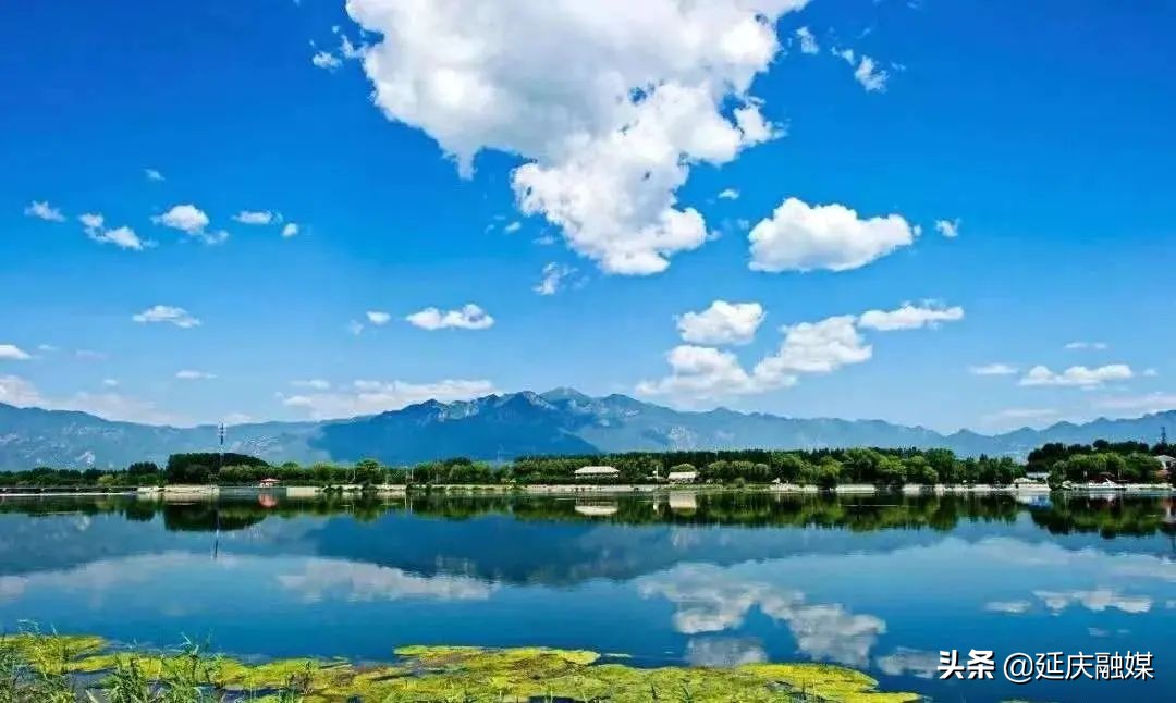 政协委员关于农业的提案,政协聚焦生态拿出更多提案建议