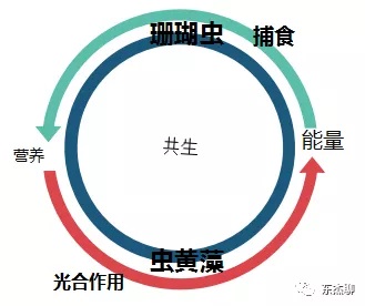 海缸营养盐过高可以换水么,海缸营养盐高能养鱼吗