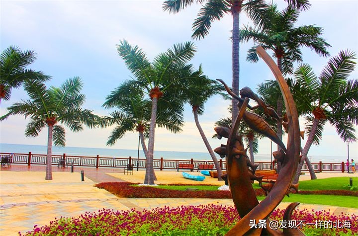 假如北海开发商都参与了北海银滩西区绿化建设，那北海就够靓了