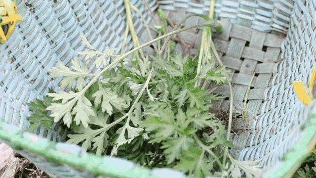 床单睡久了容易螨虫成窝？教你一新招，比太阳暴晒效果好