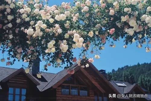 查查自己是什么命的人,对照一下你是哪种命