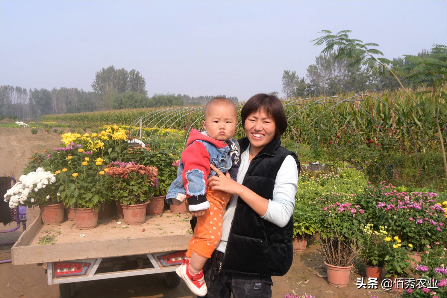 农村4个未来5年吃香的行业,未来三年农村有4个致富行业