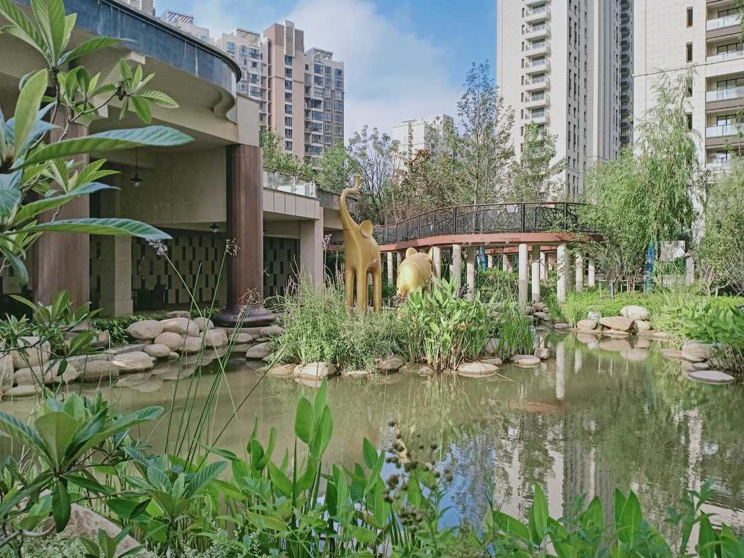 忆当初青春年少,再忆青春完整版