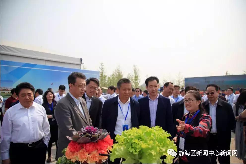 闈欐捣2018,闈欐捣2017