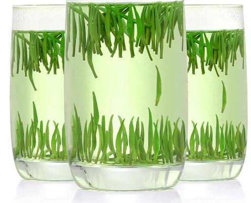 白毫银针武夷岩茶是典型的乌龙茶,十大名茶武夷岩茶指哪种茶