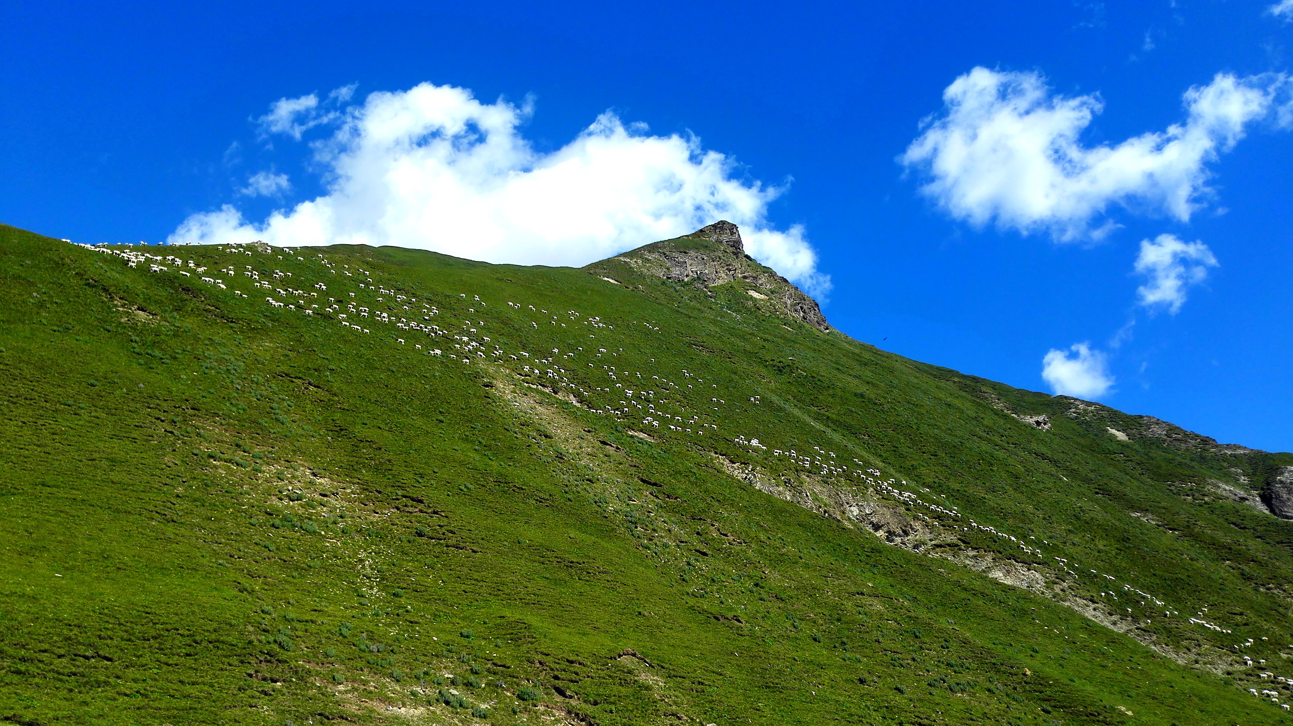 房车环游中国西藏攻略,房车环游旅游攻略