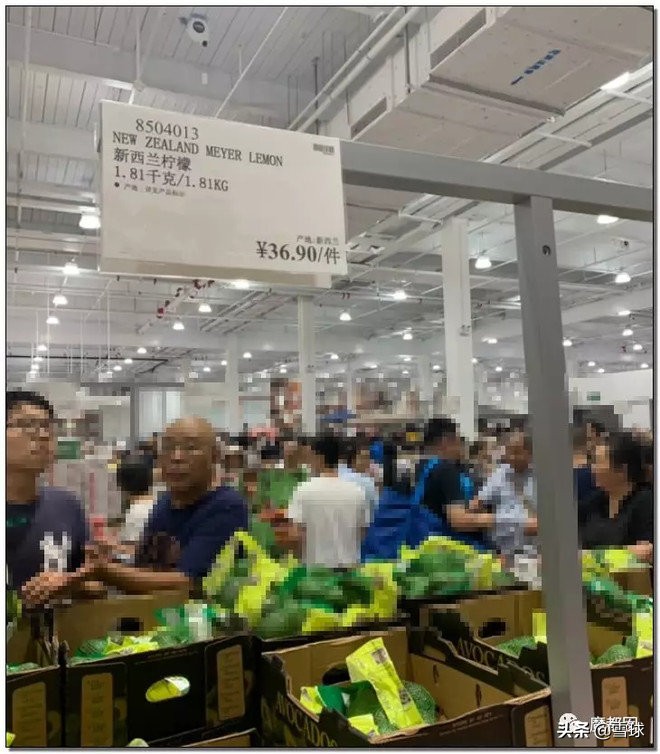 外国人怎么看中国的costco火爆,costco是如何盈利的