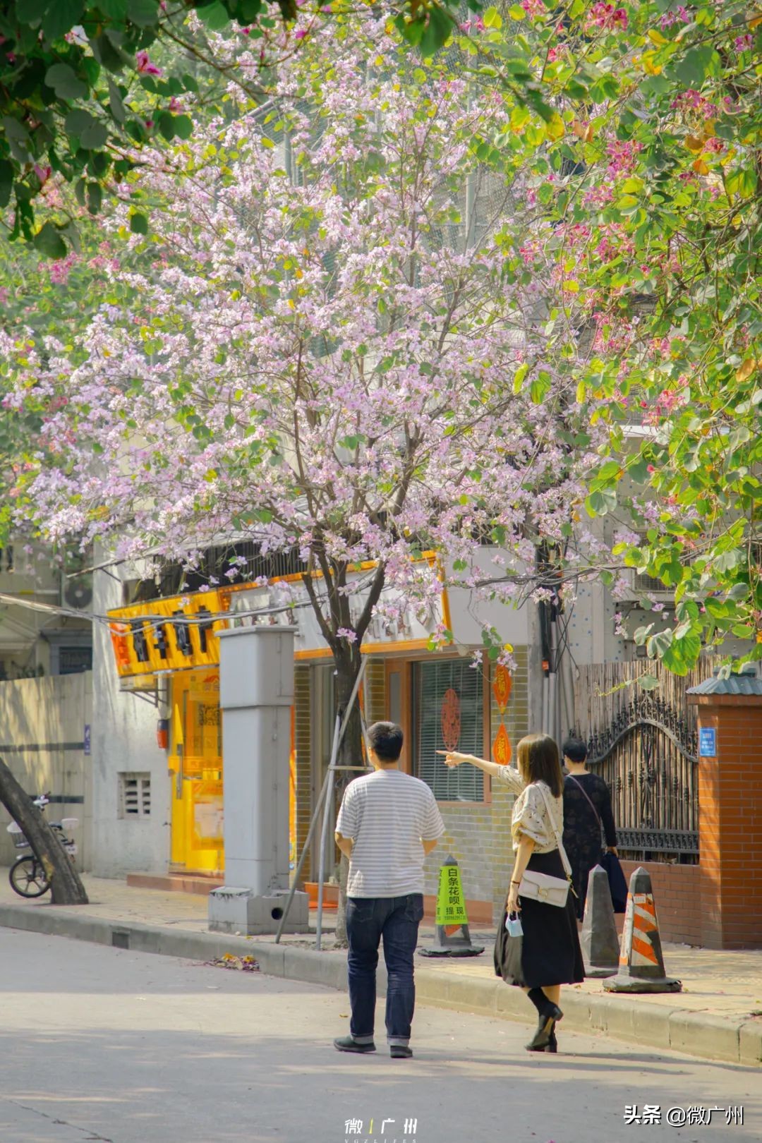 广州五羊邨富人区,广州被遗忘的荒村