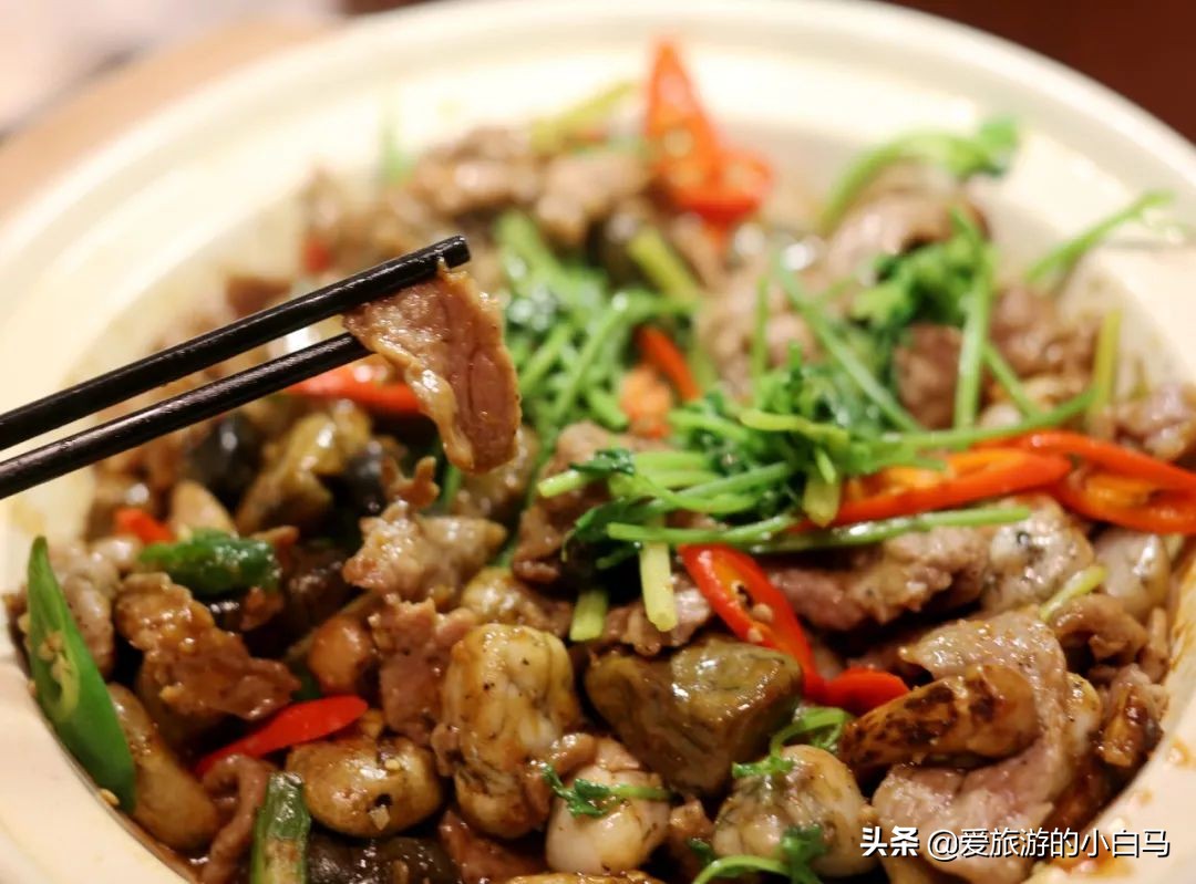 惠州希尔顿花园酒店几星级,希尔顿进驻惠州奥林匹克花园