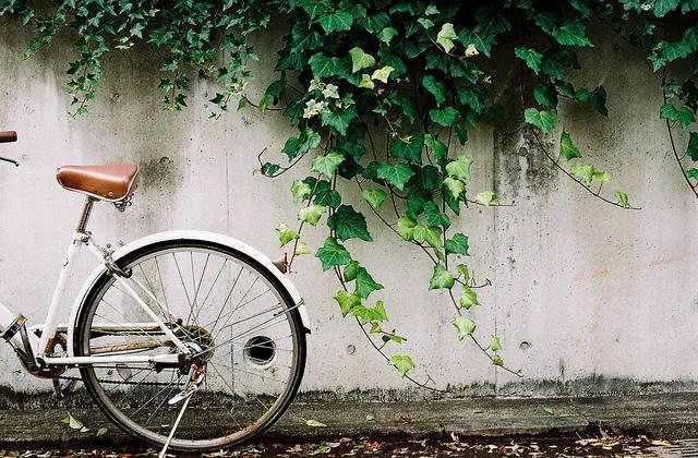 读不懂古诗词,读不懂古诗和文言文怎么办