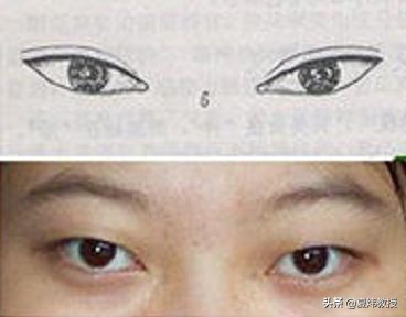 最美的眼睛形状,眼睛是什么样的形状才好看