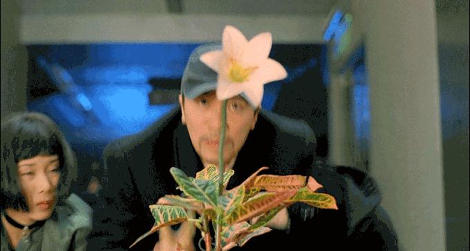 大话西游是周星驰的还是刘镇伟的,刘镇伟周星驰电影大话西游