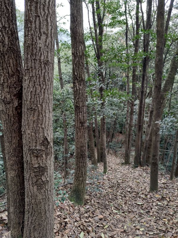 杭州市周末自驾游去哪里好玩,杭州出发周末旅游攻略