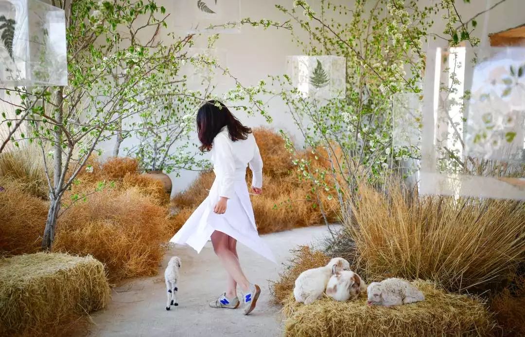 民宿转型民宿,民宿集群发展条件