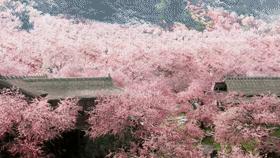 三生三世造型设计图,三生三世造型教程