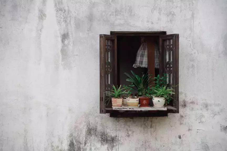 腾龙35-150mmf2-2.8新品,腾龙35-150焦外表现