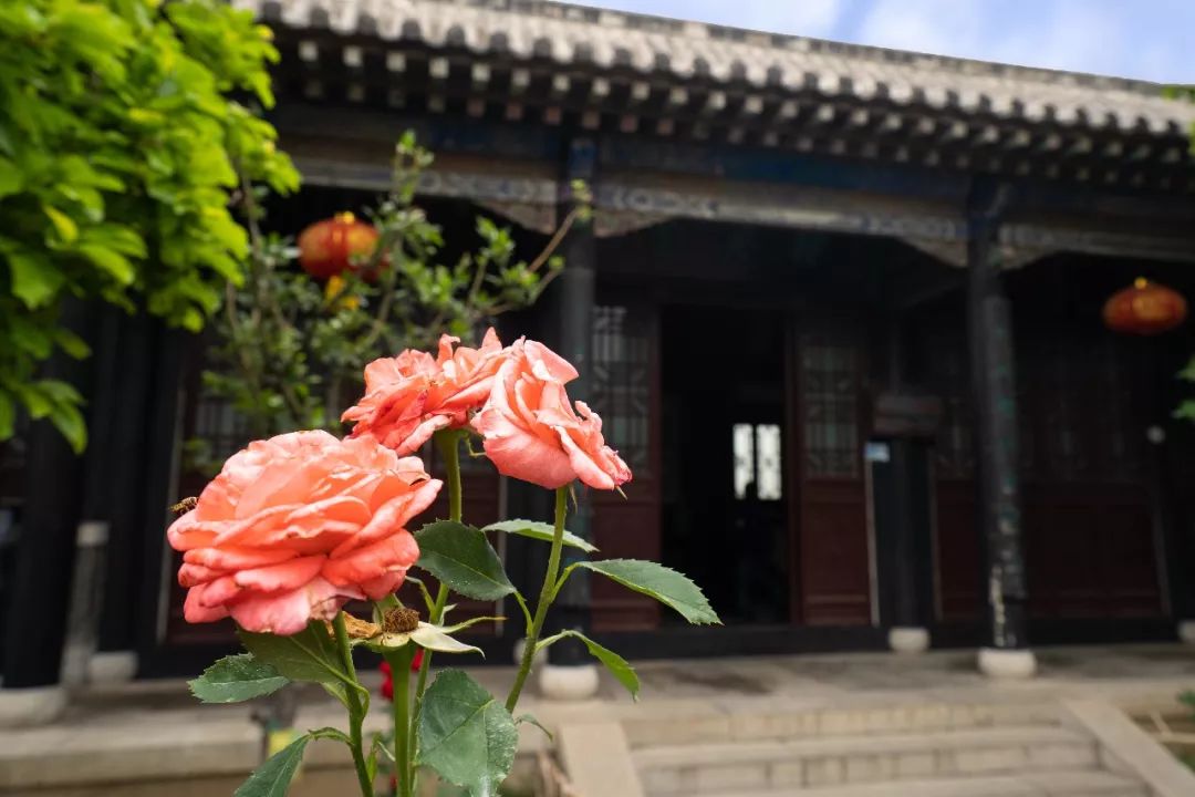 蓬莱美如画,蓬莱美景