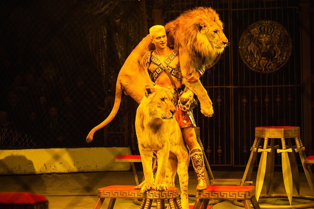 俄罗斯莫斯科大马戏票价,莫斯科大马戏完整视频