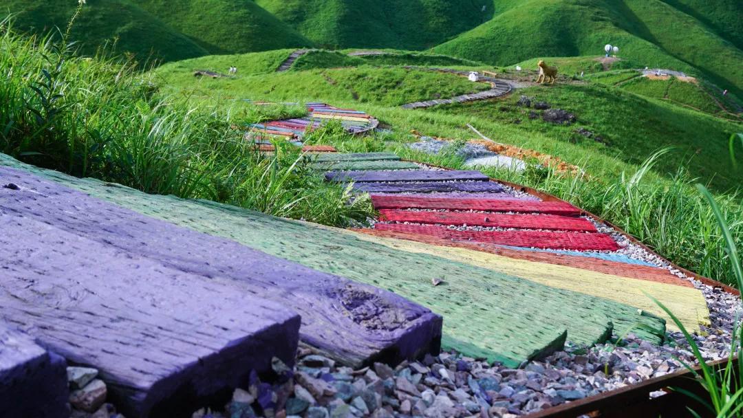 万亩草原航拍,万亩草原航拍视频