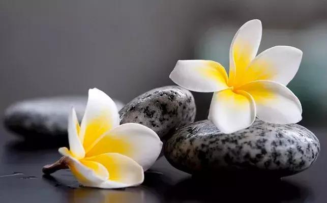 怎么改变认知思维,心智模式是什么