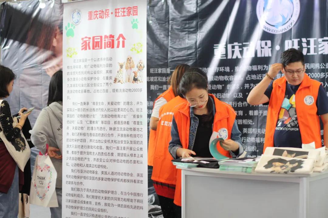 CPF活动预告|阿派第30届领养日——人间值得,只要它能与你相遇