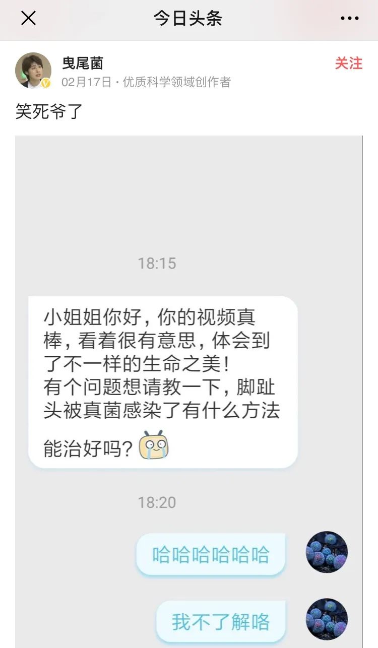 她让20万人爱上一种菌：像西米露，又似咸蛋黄，网友直呼太神奇