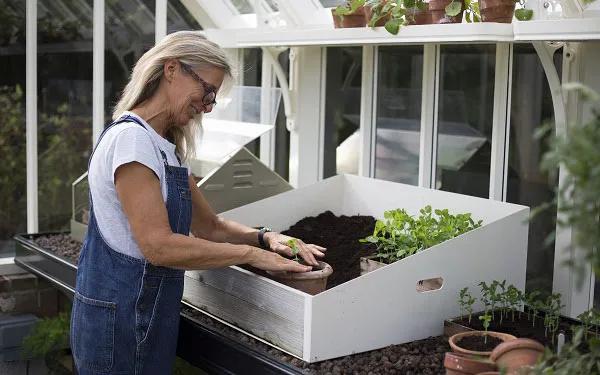 9款花园趁手好工具，用了之后，腰不疼腿不酸了