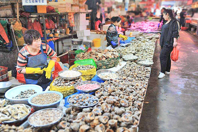 青岛三日游最佳攻略时间,青岛三日游攻略大全最新