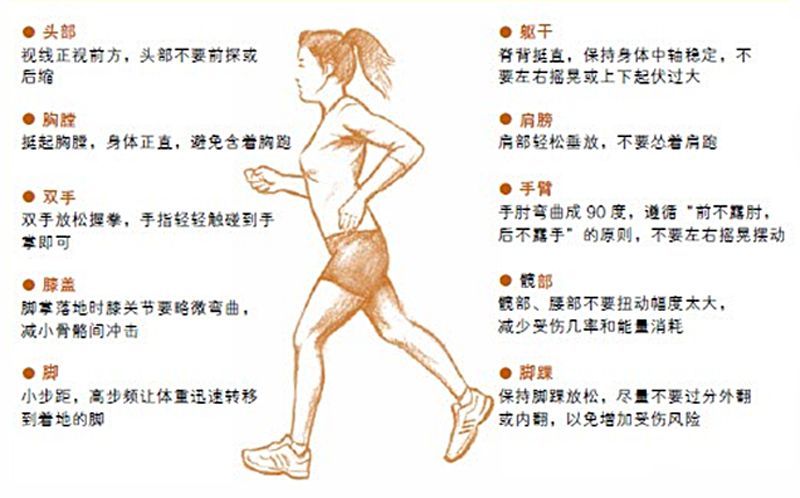 跑步一星期小腿粗了一圈怎么回事,跑步小腿肚子变粗怎么恢复