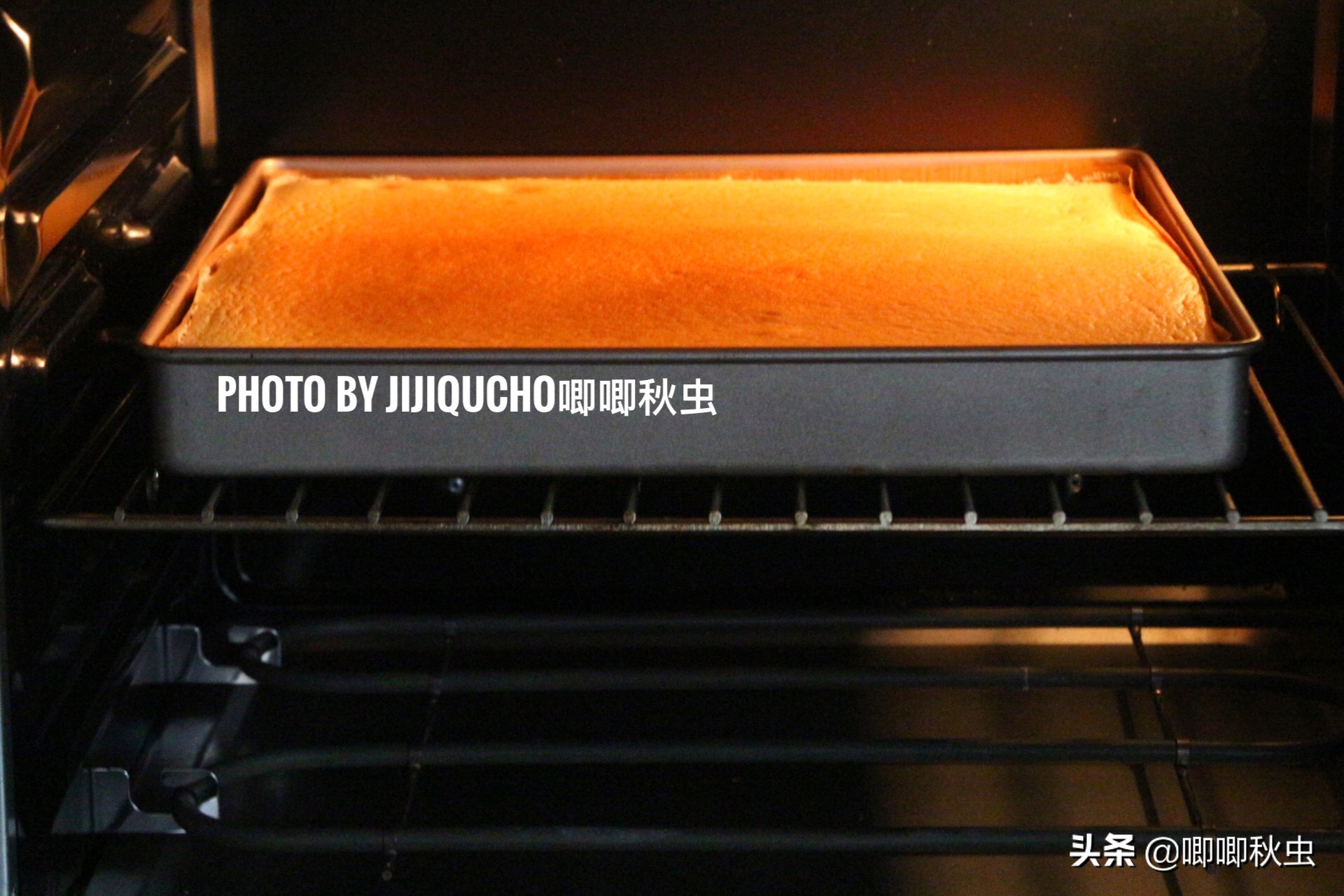 蛋糕加入牛奶有什么区别,蛋糕加入蓝莓