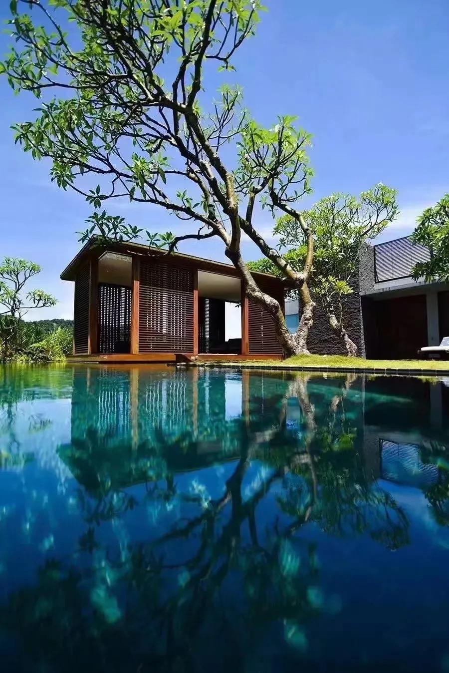 当代艺术家周星驰,上海当代艺术周