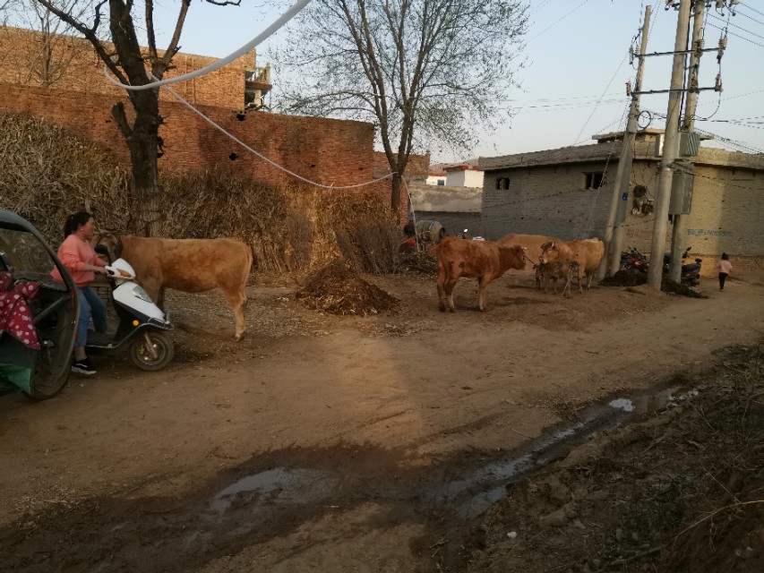 省派第一书记驻村工作,2022年全省驻村第一书记