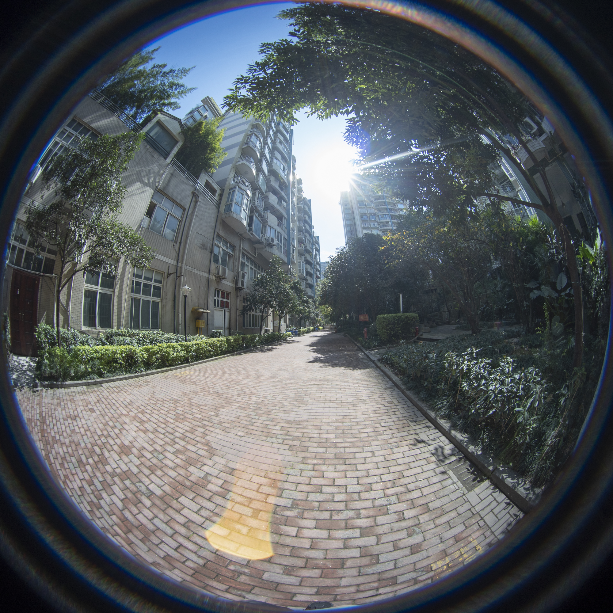 鱼眼镜头设计标准,一镜到底视角教程