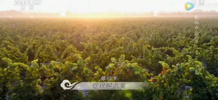 航拍中国宁夏详细景点,航拍中国宁夏详细笔记