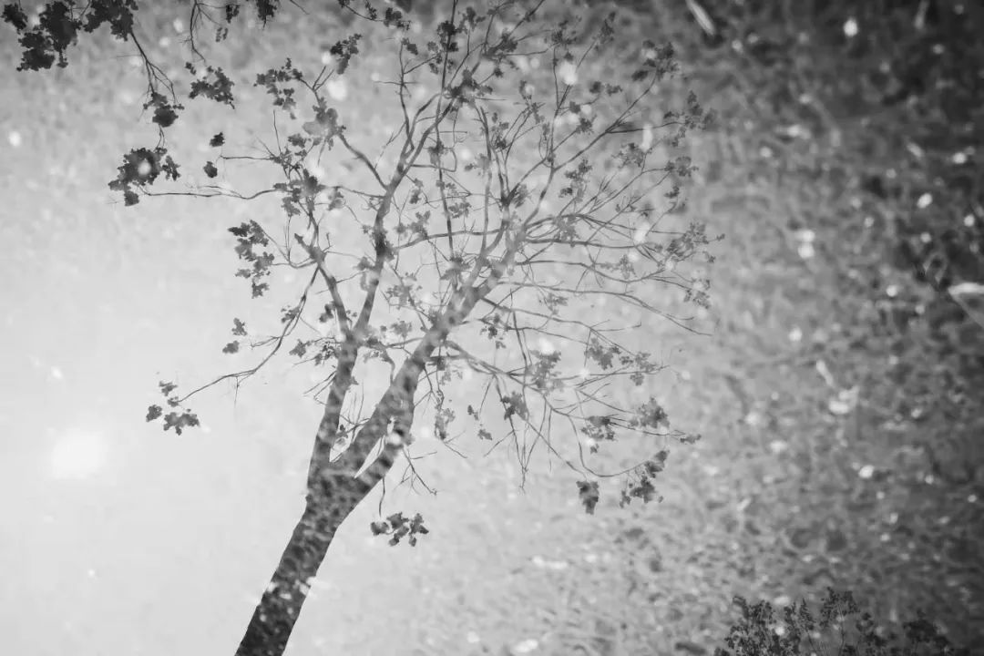 封城11日，武汉众生图