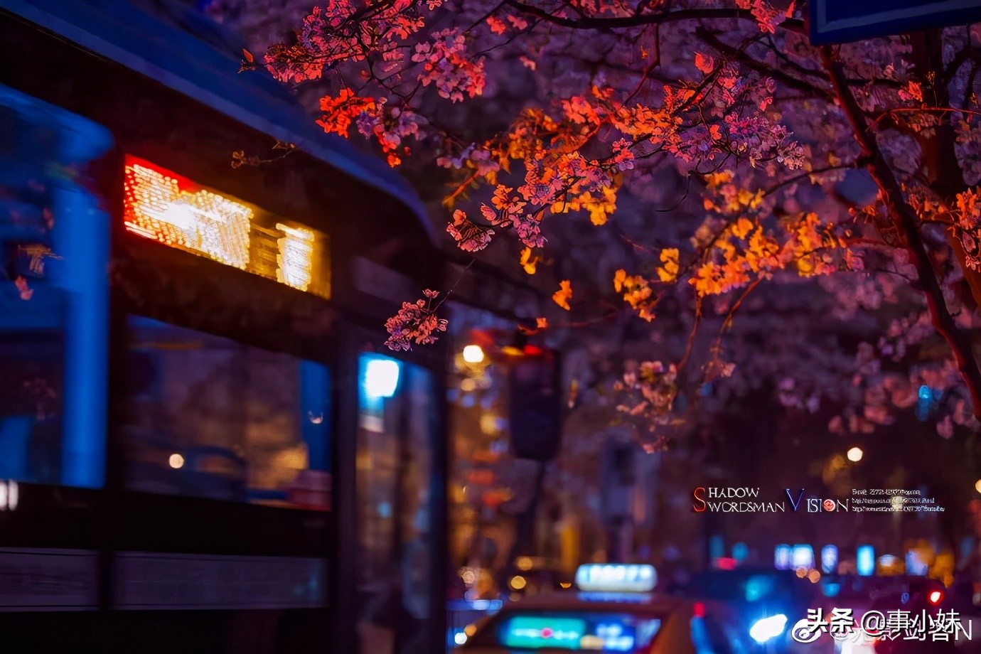 南京是什么味的,南京以什么口味为主