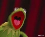 撞脸宋轶抖音,撞脸宋轶的人