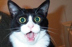 一亿元人民币大概有好大的体积,多少钱才是一亿人民币