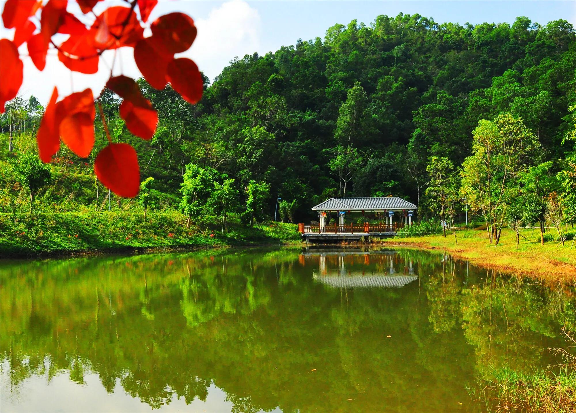 深圳十佳免费湿地公园,深圳十大免费公园排行榜最新名单