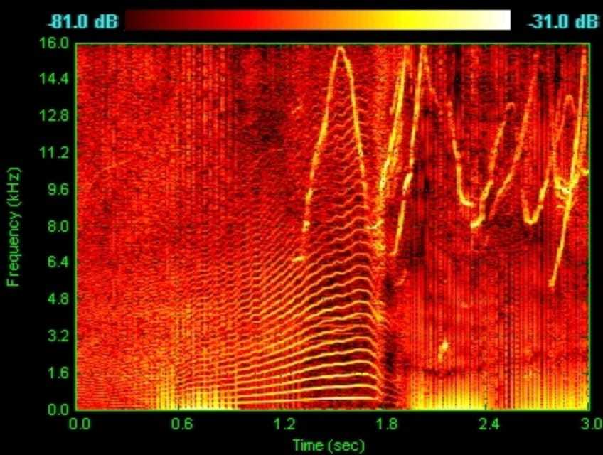 人工智能生成音频技术,人工智能语言入门教程视频