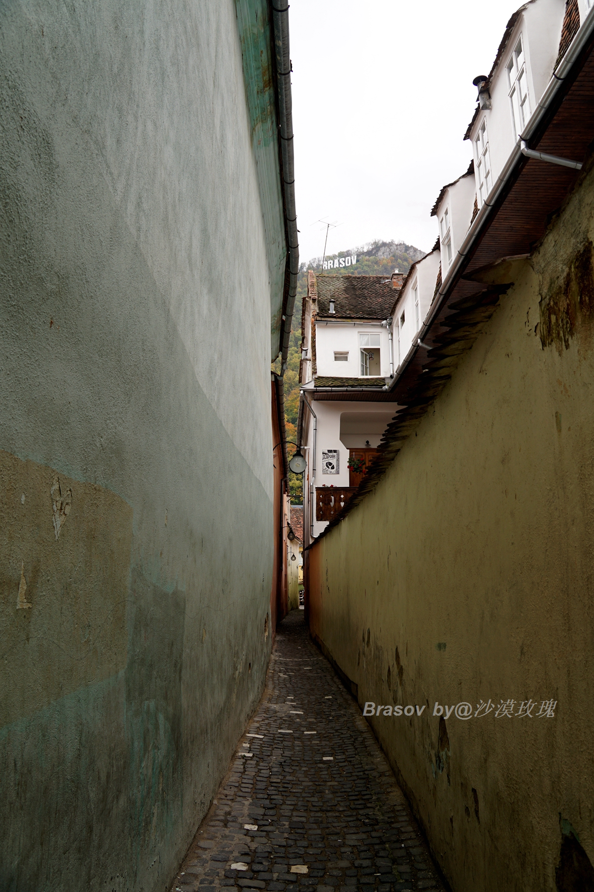 罗马帝国后裔,罗马帝国的后裔